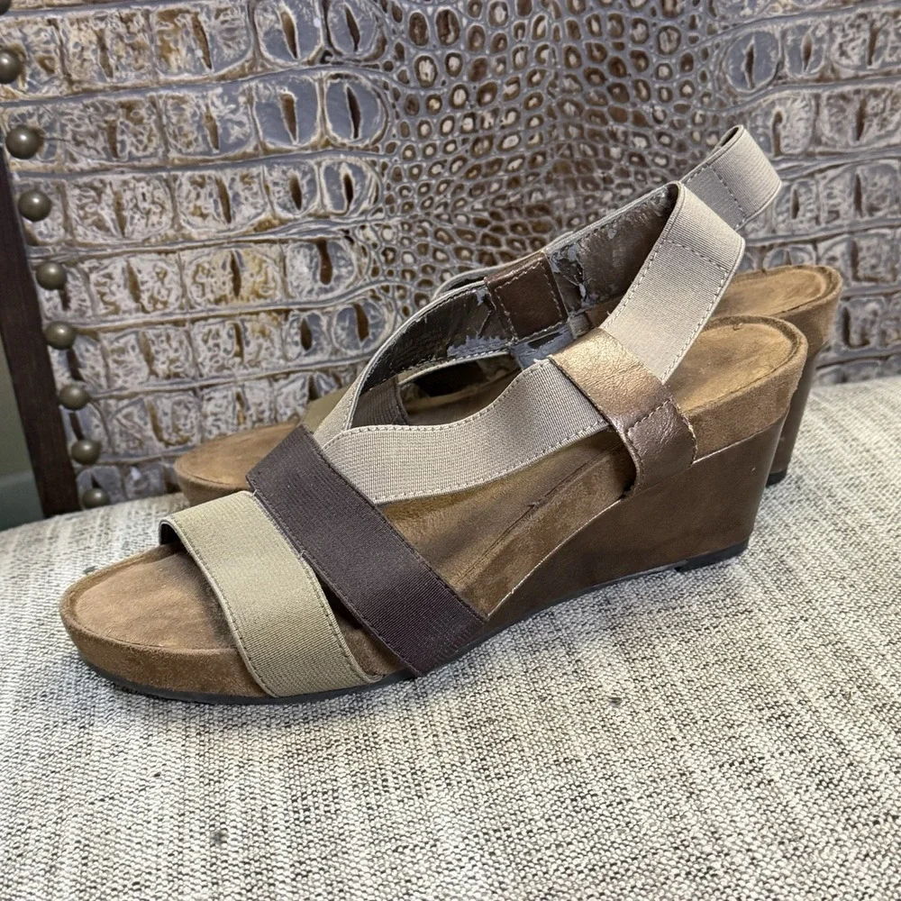 AEROSOLES light rail